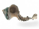 Shell Cone .925 Sterling Silver Chain Pendant