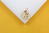 Gold Filled 18K Coin Disc Medallion Zodiac Horoscope Charm Pendant