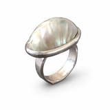 Nautilus Sterling Sterling Silver Ring